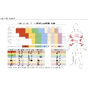 Fietsshirt korte mouwen Coureur Espresso (2).webp