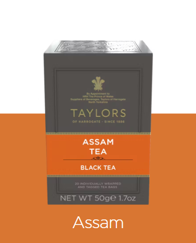 Taylors of H. | Assam | 20st 